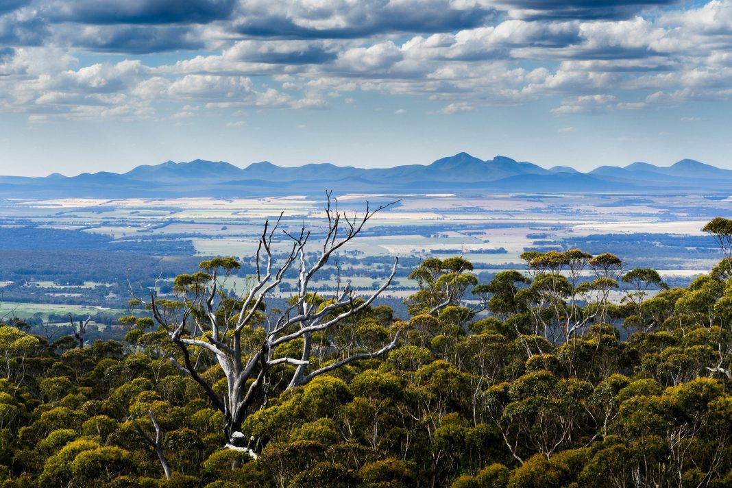 Image 6 5 curiosities about Great Southern Regions Australia